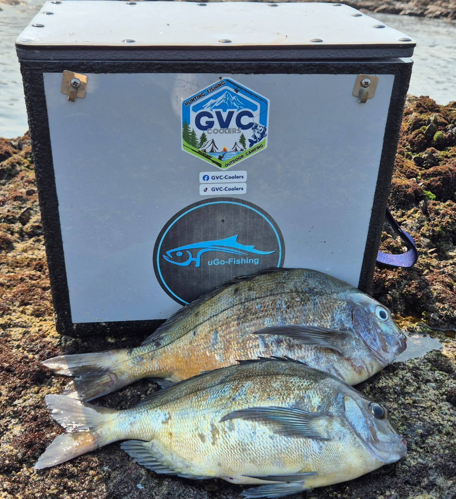 GVC Coolers - Frozen Bait boxes - Image 6